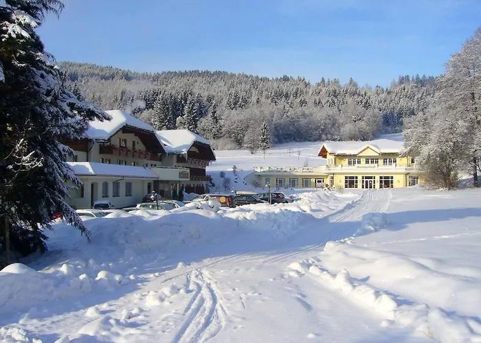 Aktiv- Und Wohlfuhlhotel Hammerhof בודנמאיס