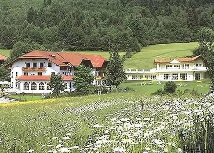 Aktiv- Und Wohlfuhlhotel Hammerhof מלון 4*