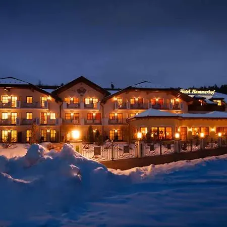 Hotel Aktiv- Und Wohlfühlhotel Hammerhof
